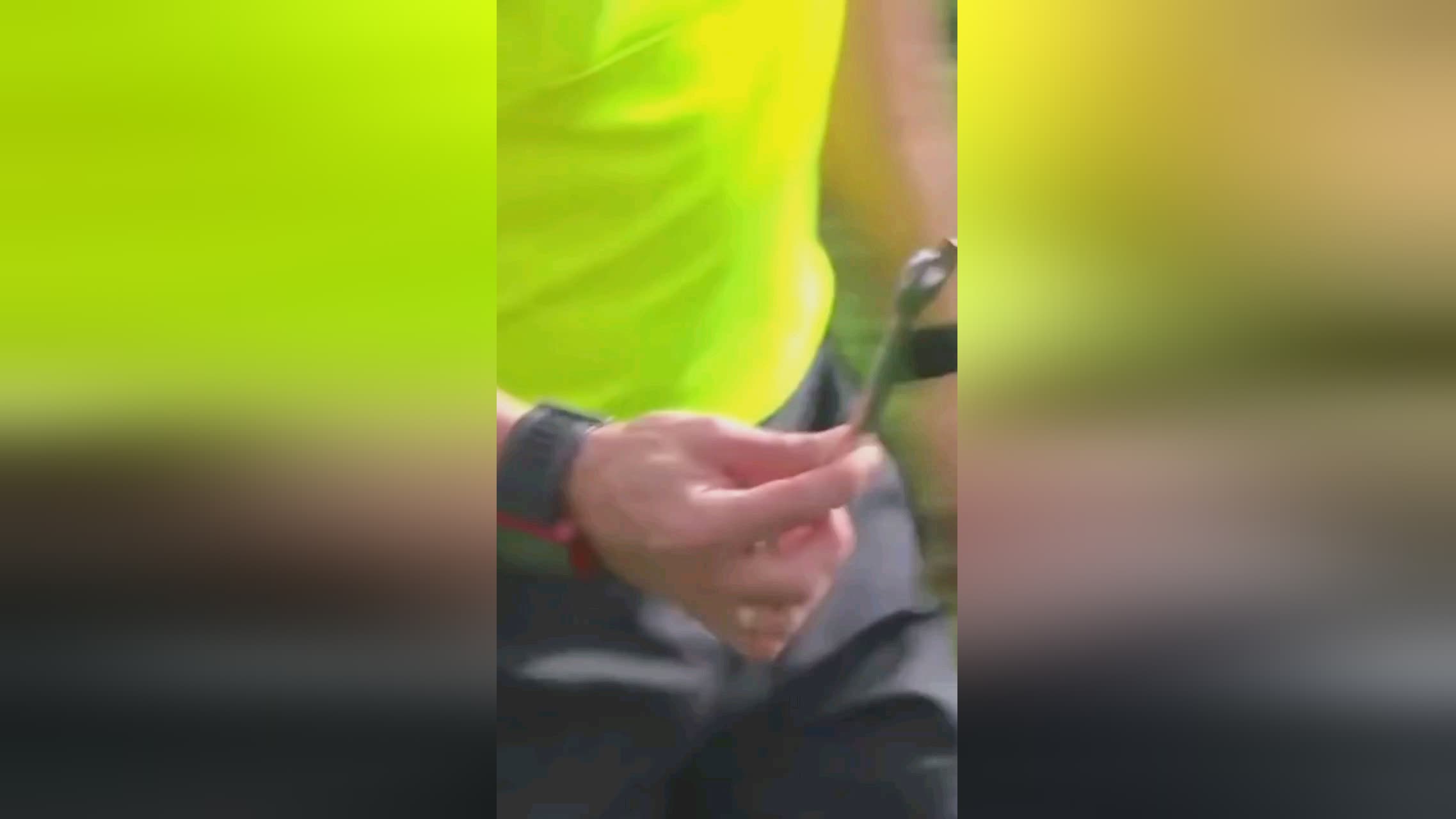 心理与赛